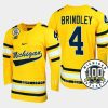 gavin brindley michigan wolverines maize 100th anniversary hockey jersey