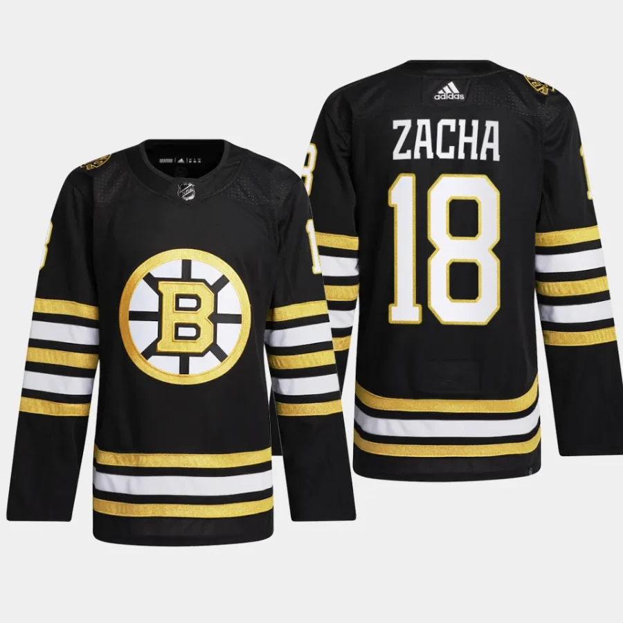 men bruins pavel zacha 2023 24 primegreen 100th anniversary authentic player black jersey